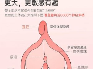 日本娇小体内精汇编：让你感受极致快感的私密珍藏