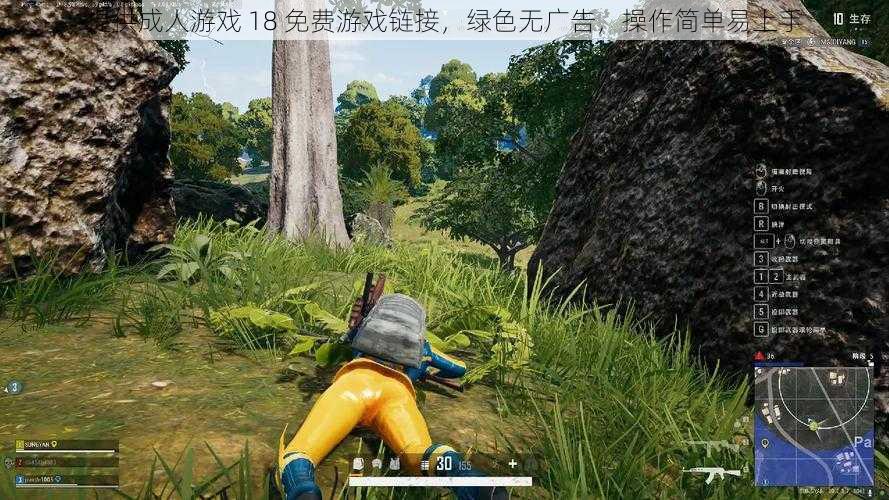 提供成人游戏 18 免费游戏链接，绿色无广告，操作简单易上手