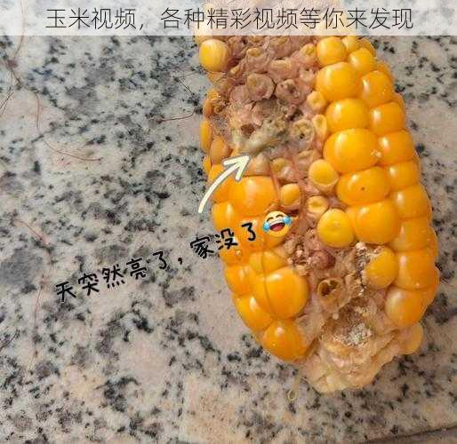 玉米视频，各种精彩视频等你来发现